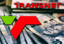 Transnet’s inefficiencies have made it a liability for government: Economist